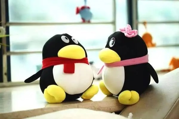 如何在哔哩哔哩注册小号？